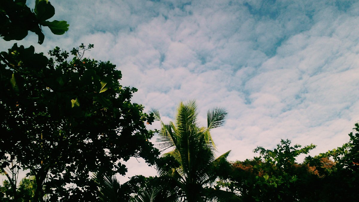 Cloud floating in the blue