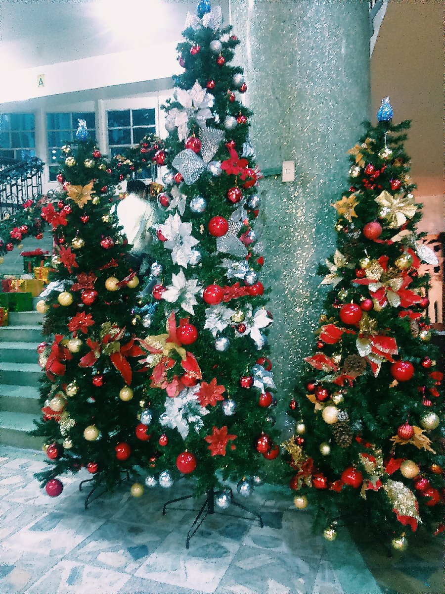 Colorful Christmas Tree 