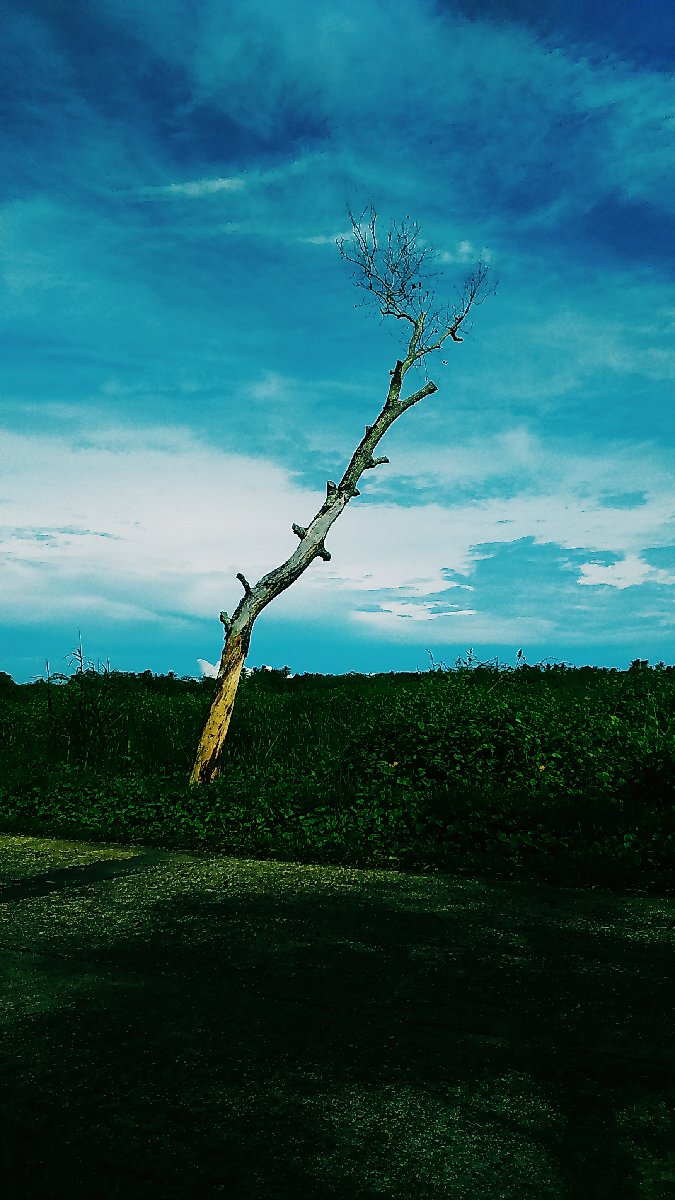 Dont lose hope and never stop dreaming