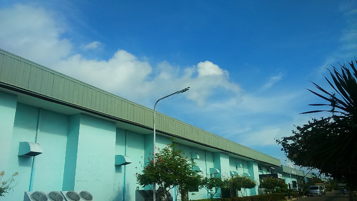 Mitsumi Danao Company