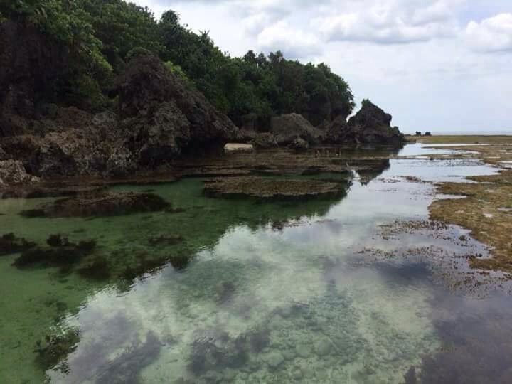 Rock Formation