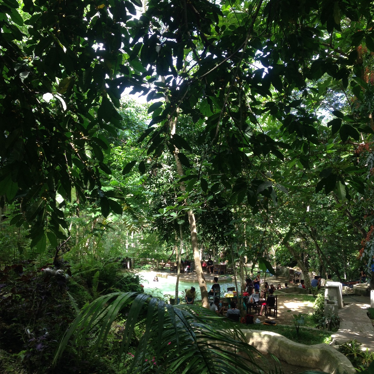 Swimming pool pool spring Middle Earth