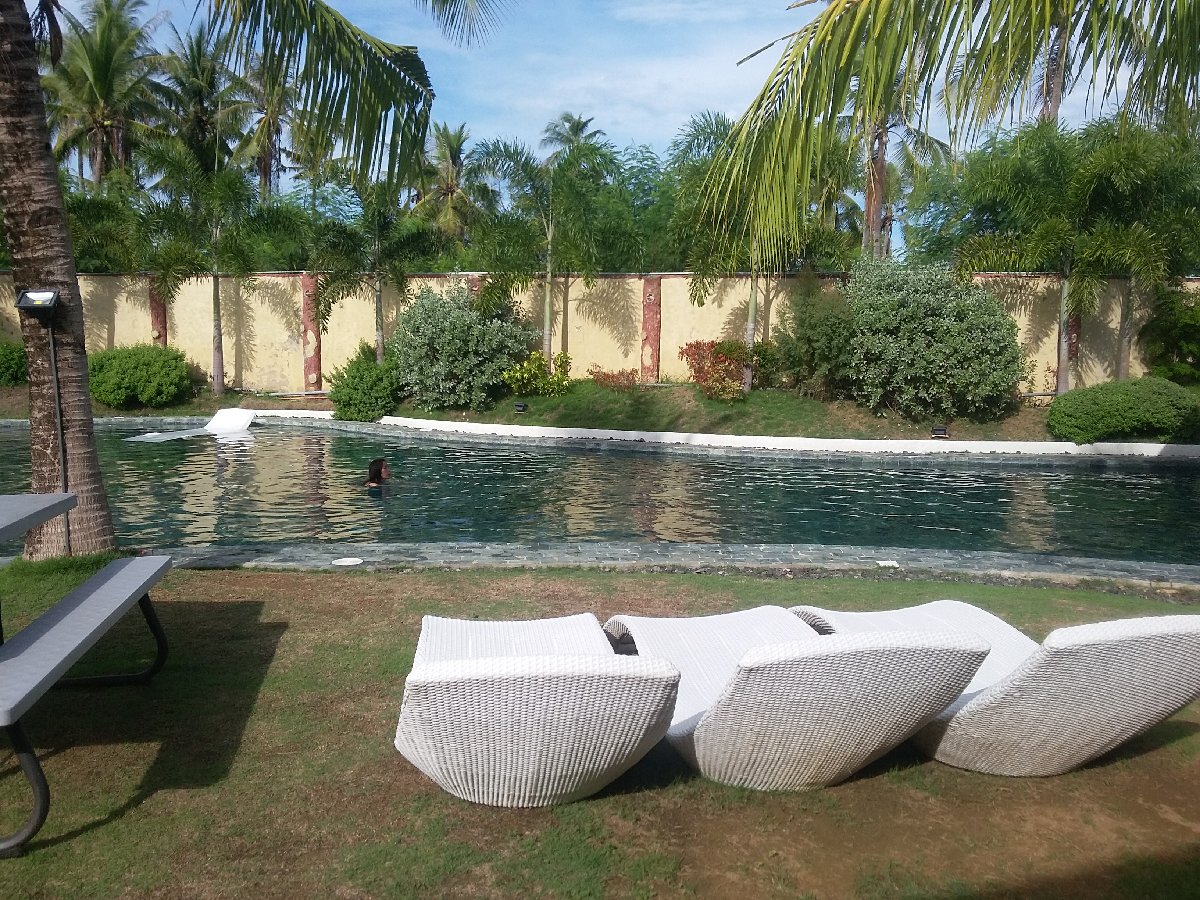 Swimming swimming pool relax resort escapade