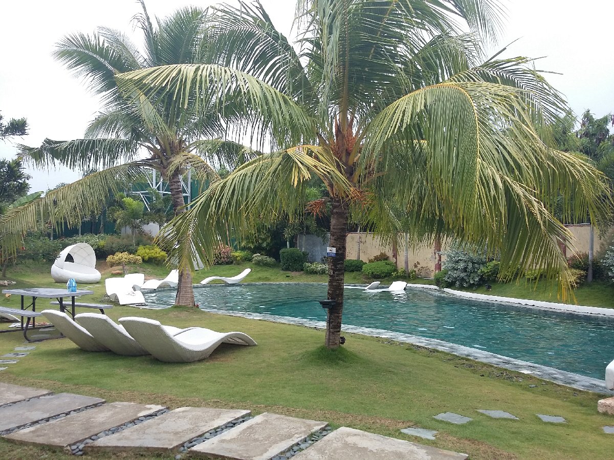resort swimming pool relax Lapu lapu