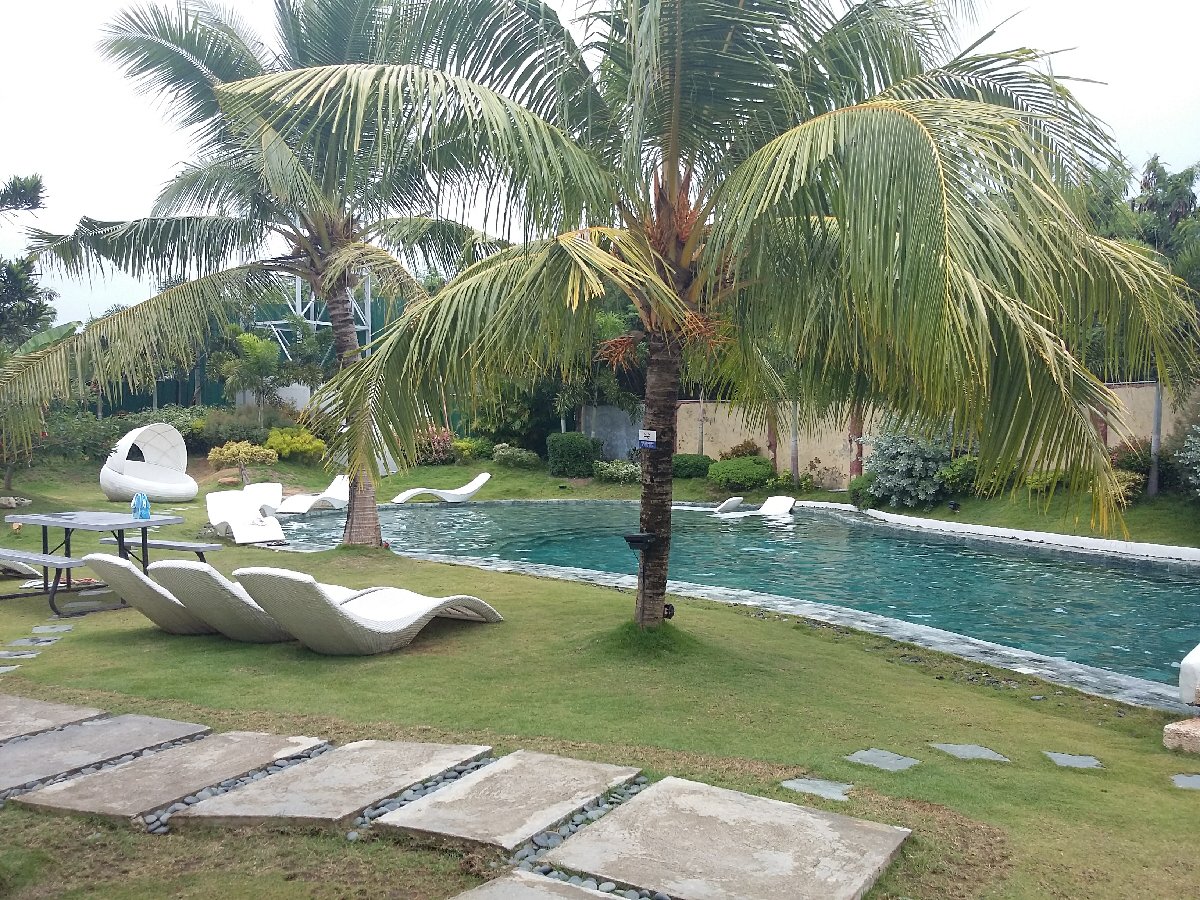 resort swimming pool relax Lapu lapu escapade