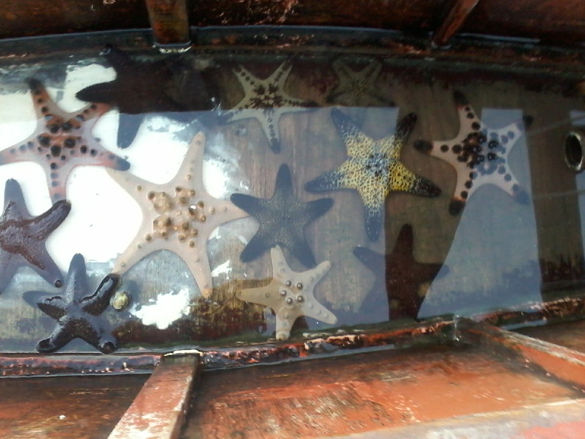 starfish