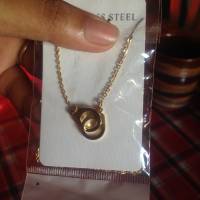 NPYD, eat all you can, chicken, pasta, fries, rice