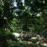 resort swimming pool relax Lapu lapu escapade