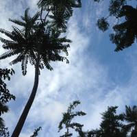 Seascape, beautiful sunset, sky and water