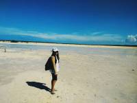 Bluer than Blue