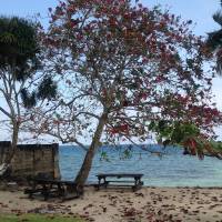 a beautiful place to relax and enjoy the rest of the day