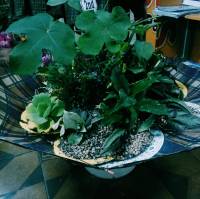 A breathtaking place