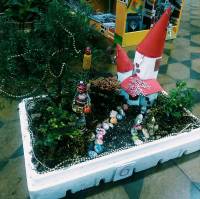 Mini Plant Arrangement 1st place