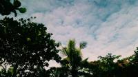 Bluer than Blue