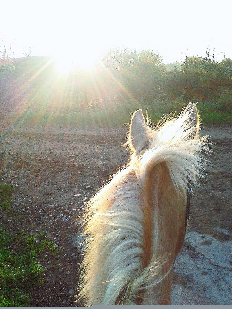 Summer days