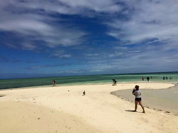 Photo uploaded by paule132, 119