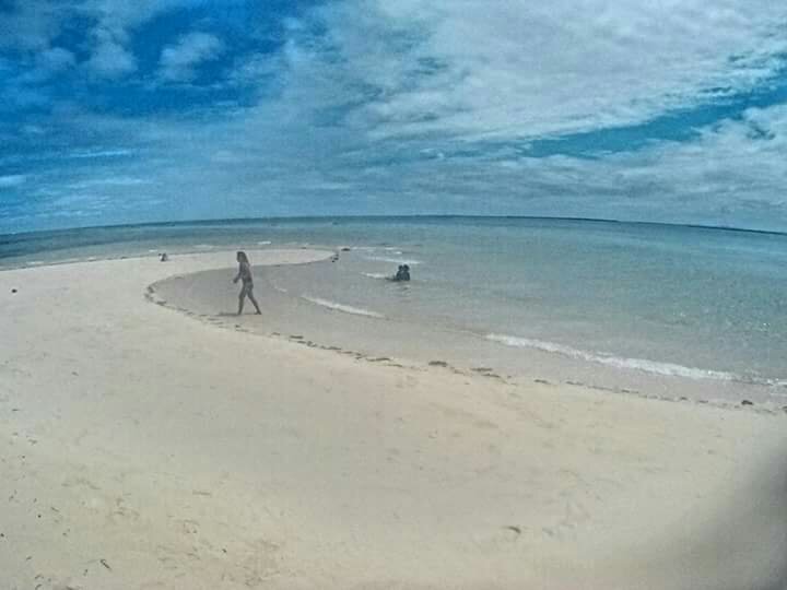 Photo uploaded by paule132, 88
