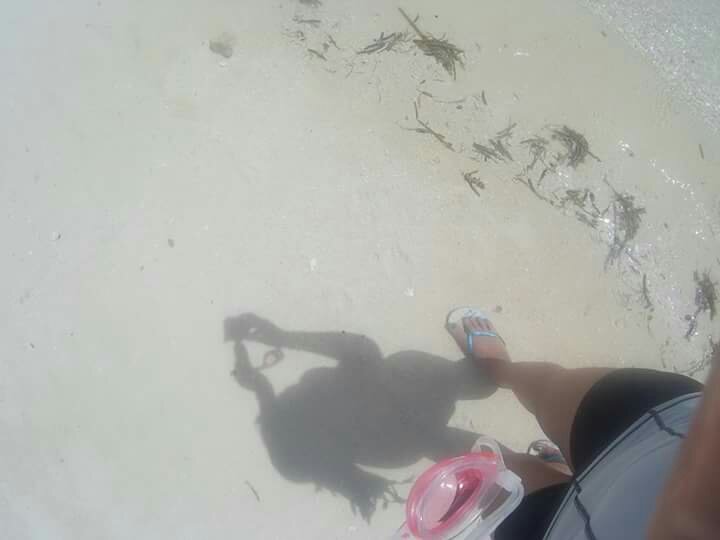Photo uploaded by paule132, 92