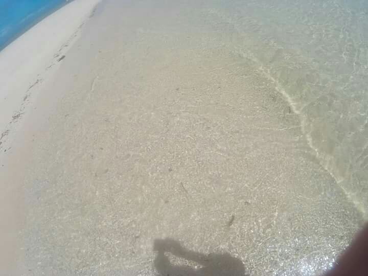 Photo uploaded by paule132, 94