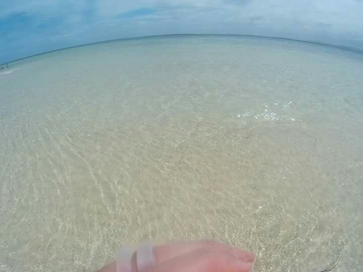 Photo uploaded by paule132, 95