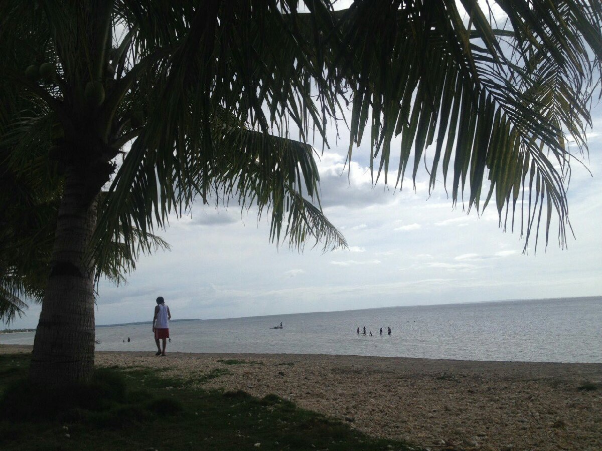 beach, province, white sand, weekend, sea, trees, nice