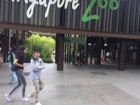 singapore, zoo