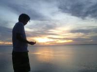 sunset, coconut, sea, peace