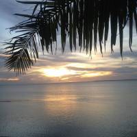 sunset, coconut, sea, peace