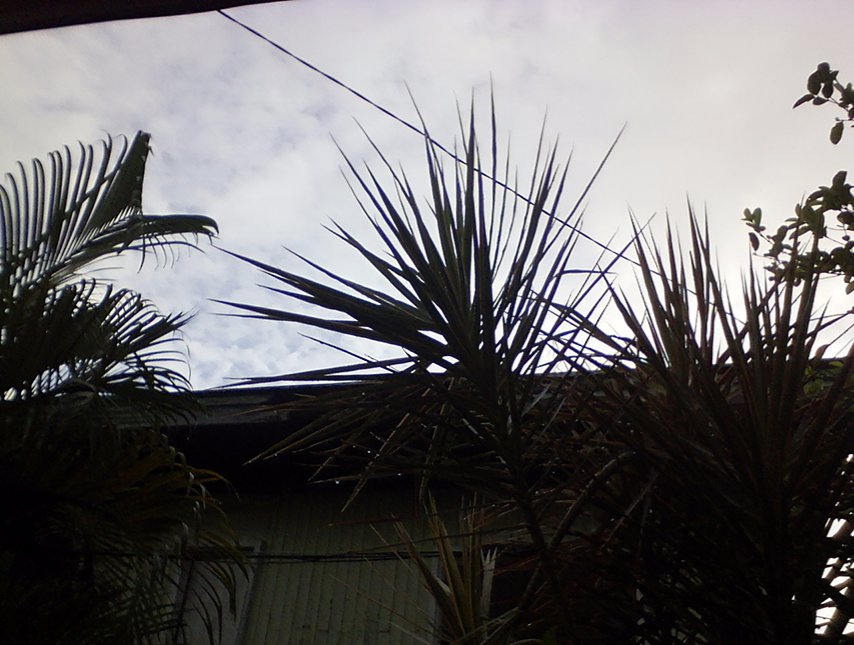 clouday morning