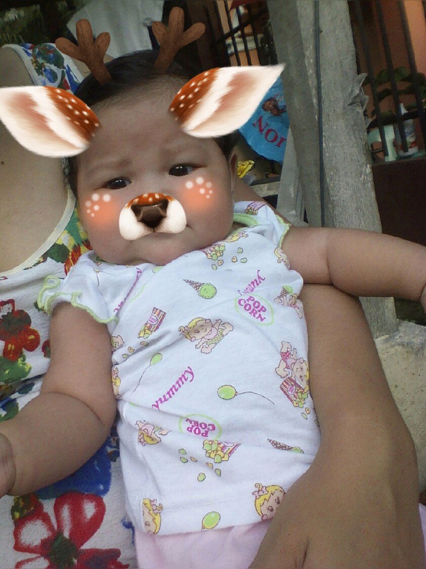 cute pet