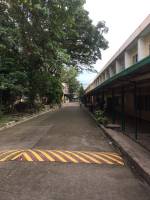 School