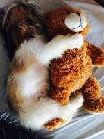 Sleep