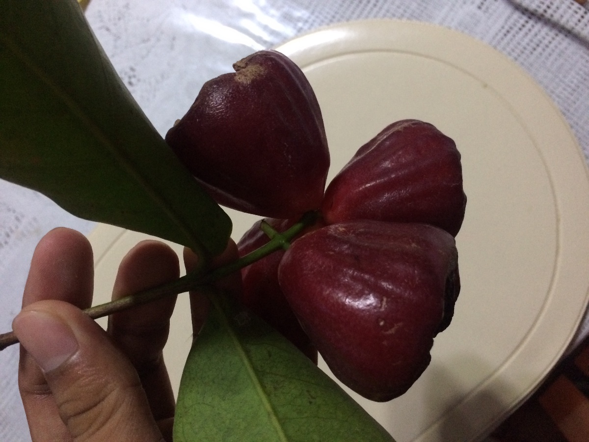 Want some 