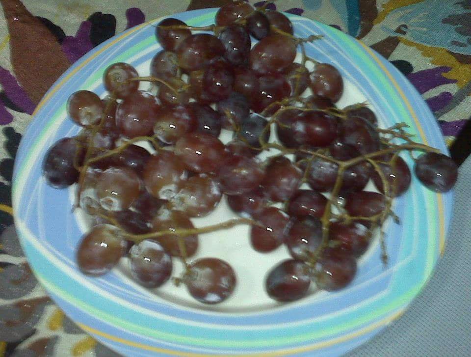 Wine fruit