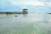 water, sea, surf, surigao, wave