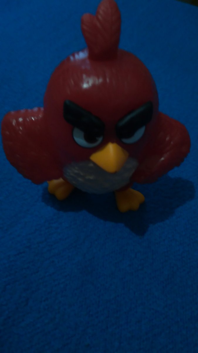 angry bird