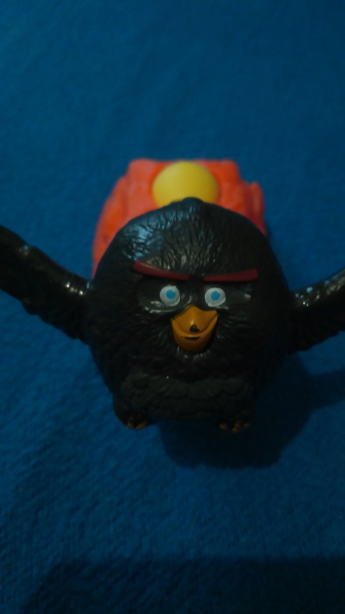 angry bird
