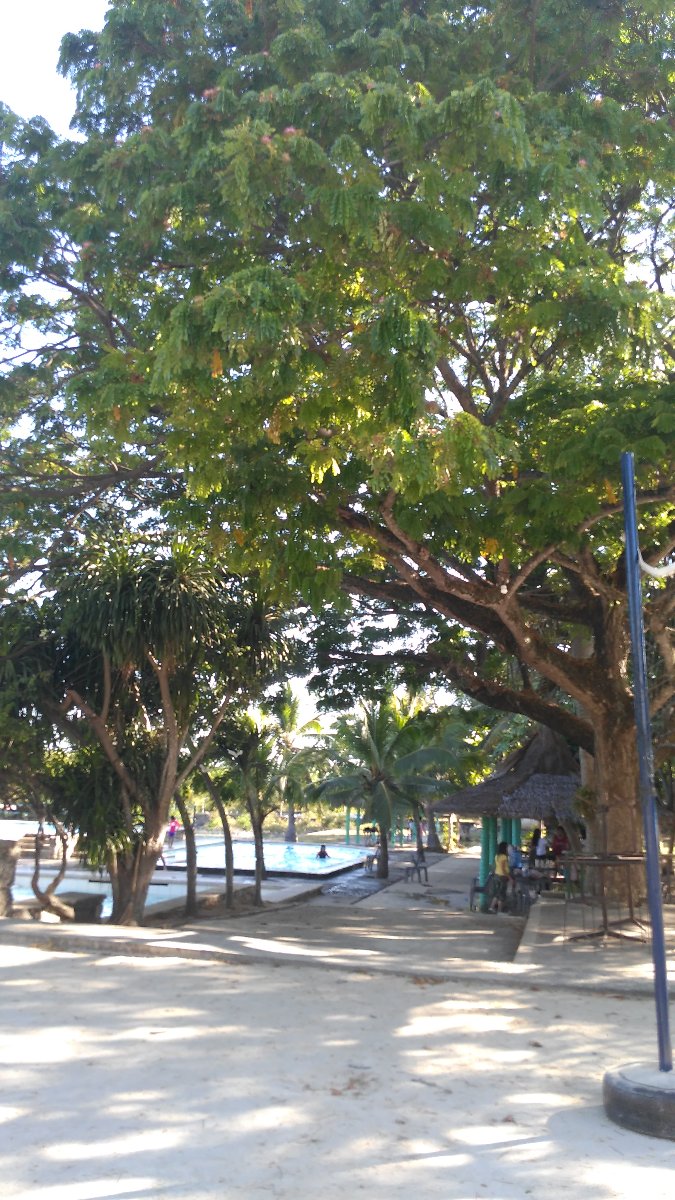bahia