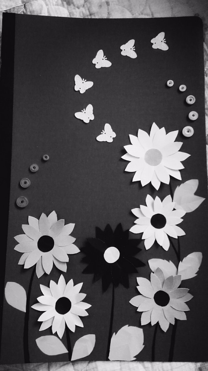 black n white