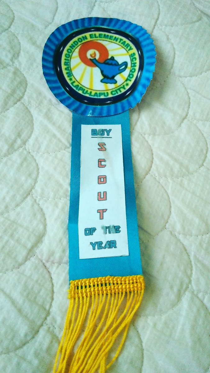 boy scout of the year