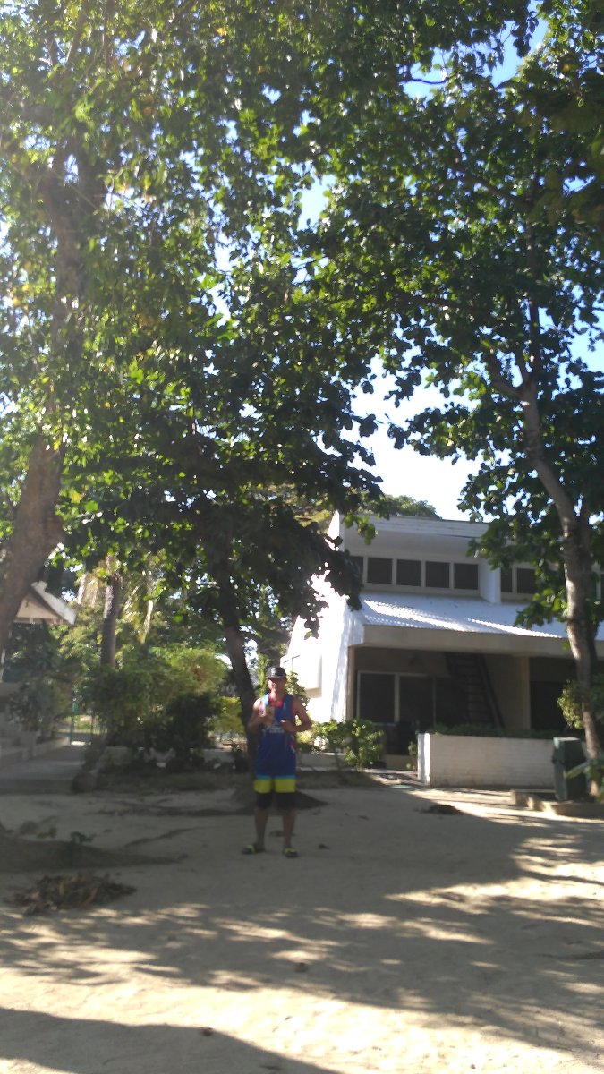him under the tree