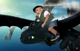 how to train your dragon 