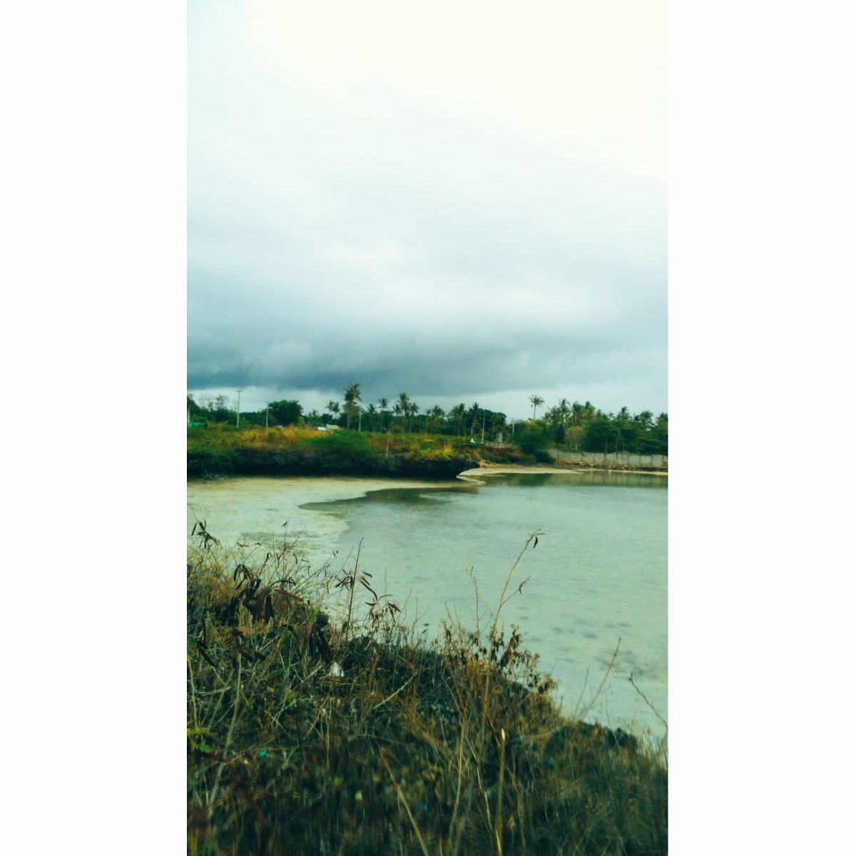 i love nature