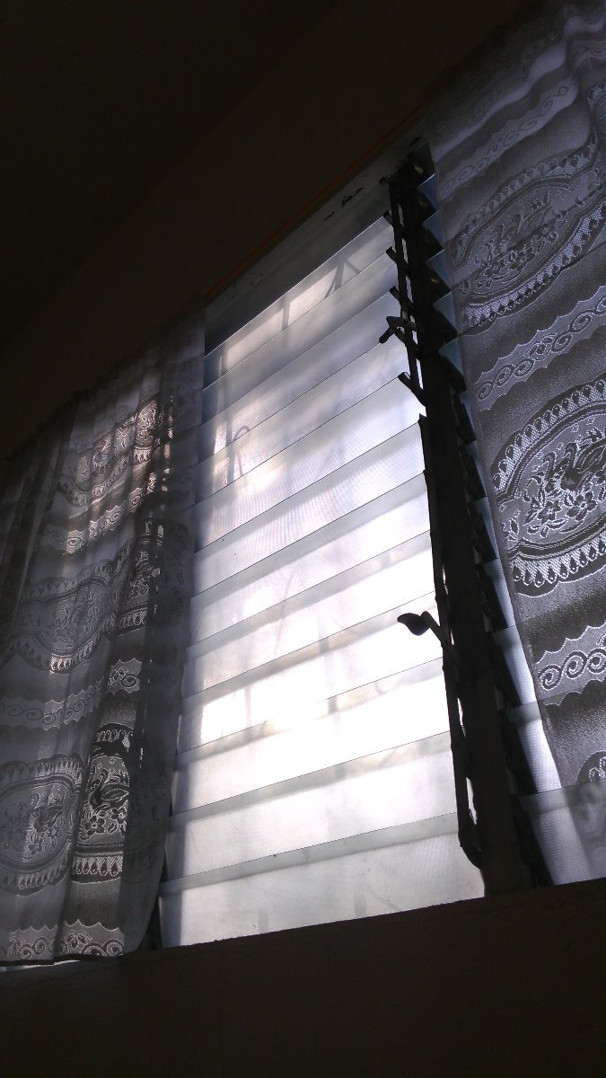 mr sun knocking on the window. good morning 