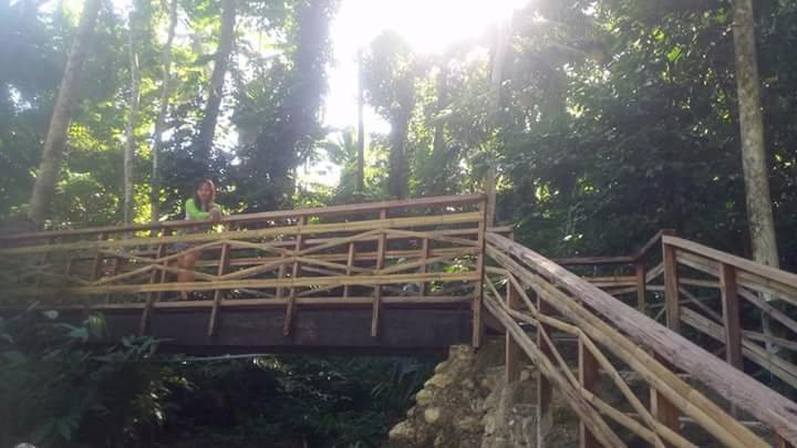 nature