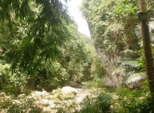 nature