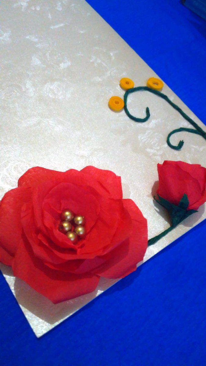 roses 