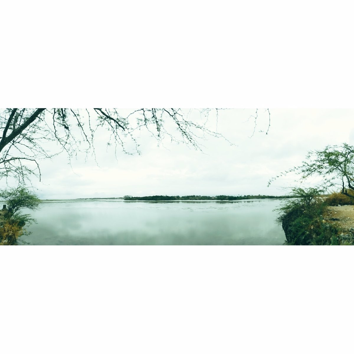 sea