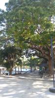 bahia resort