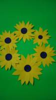 yellow and green